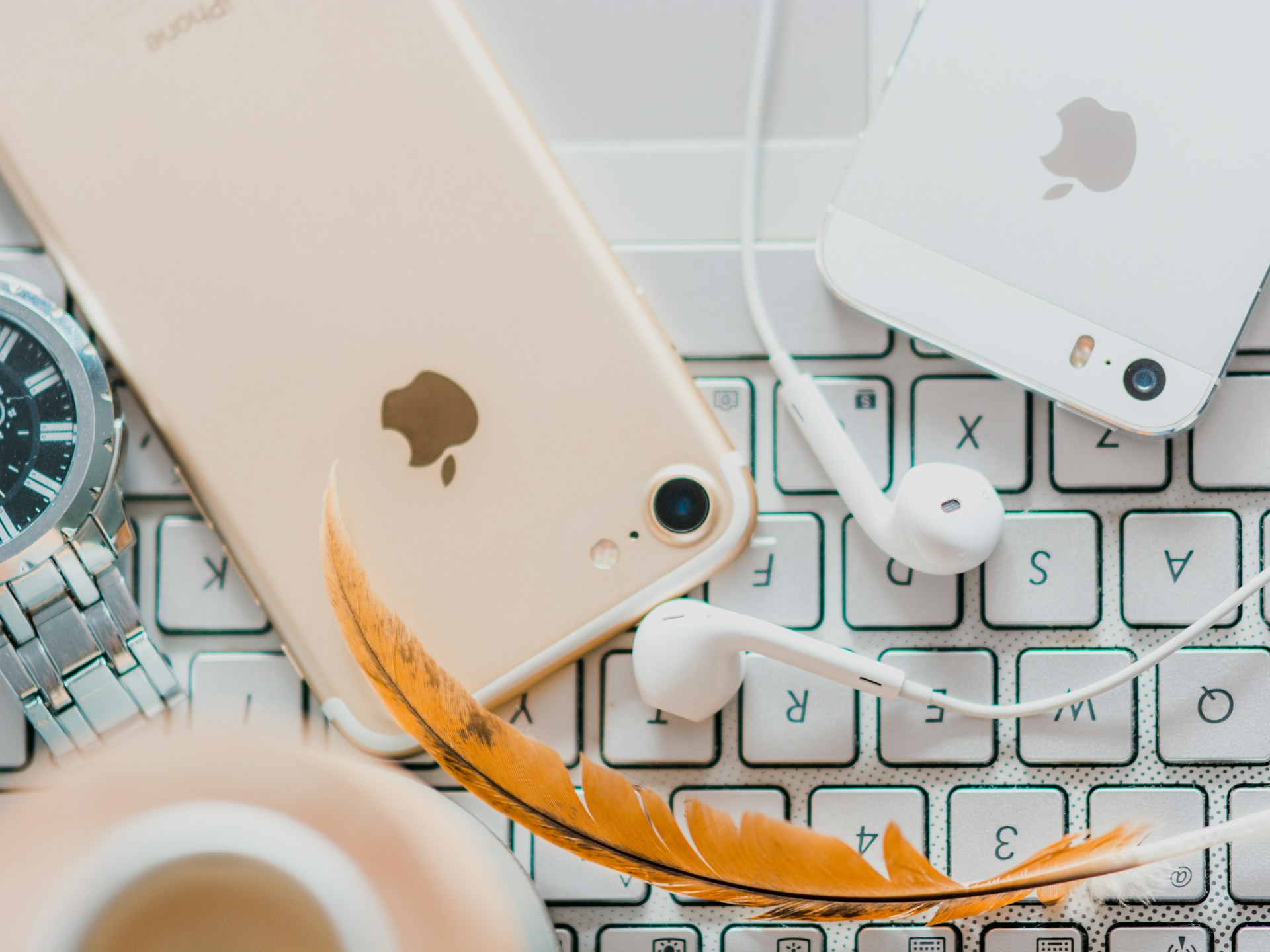 How to Choose the Best Wired Earbuds for Your Budget